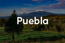 Puebla